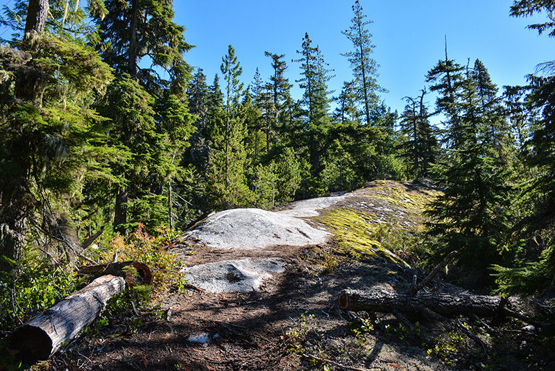 Sparky's Spin Hiking Trail Squamish