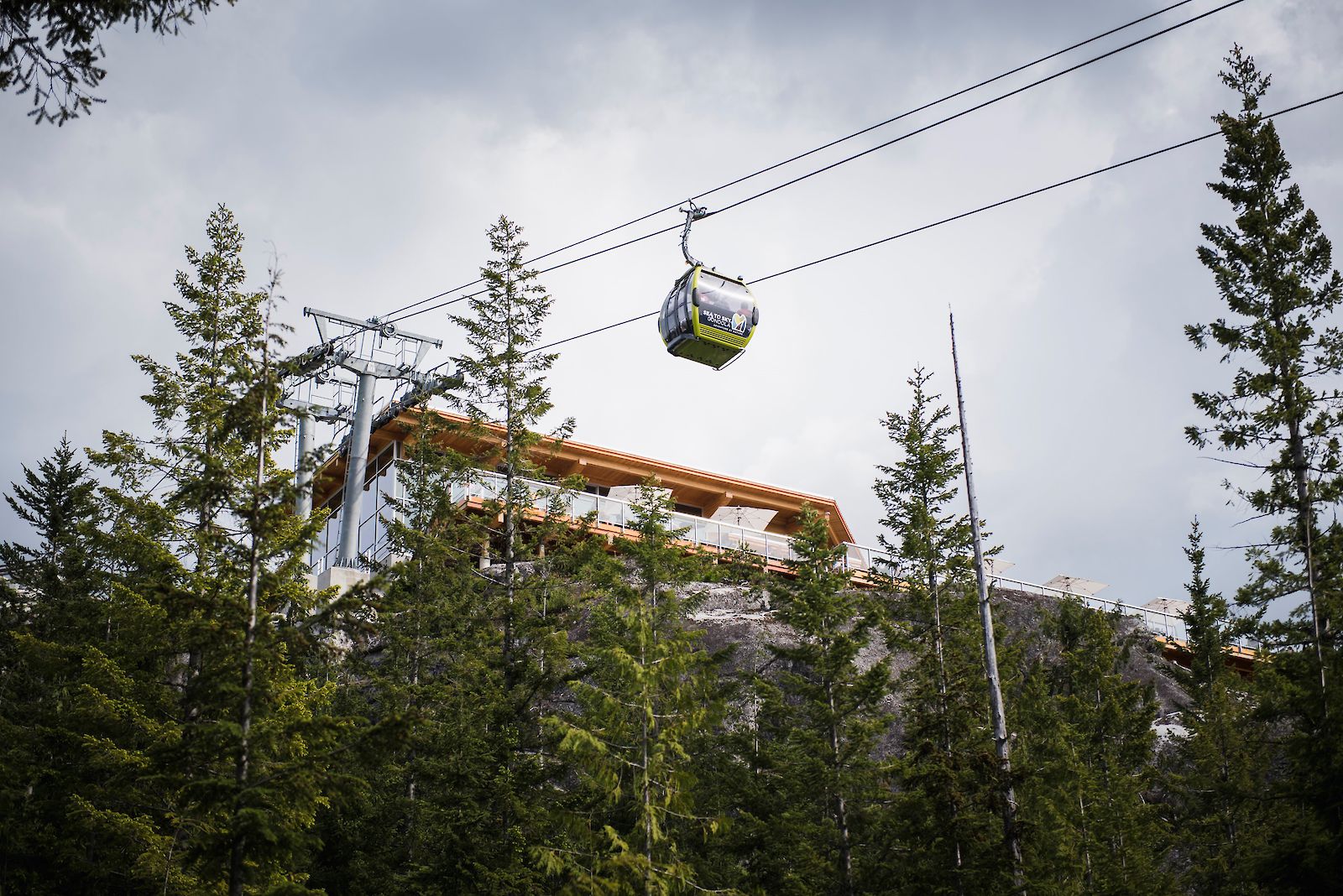 Sea to Sky Gondola Sparky's Spin Trail