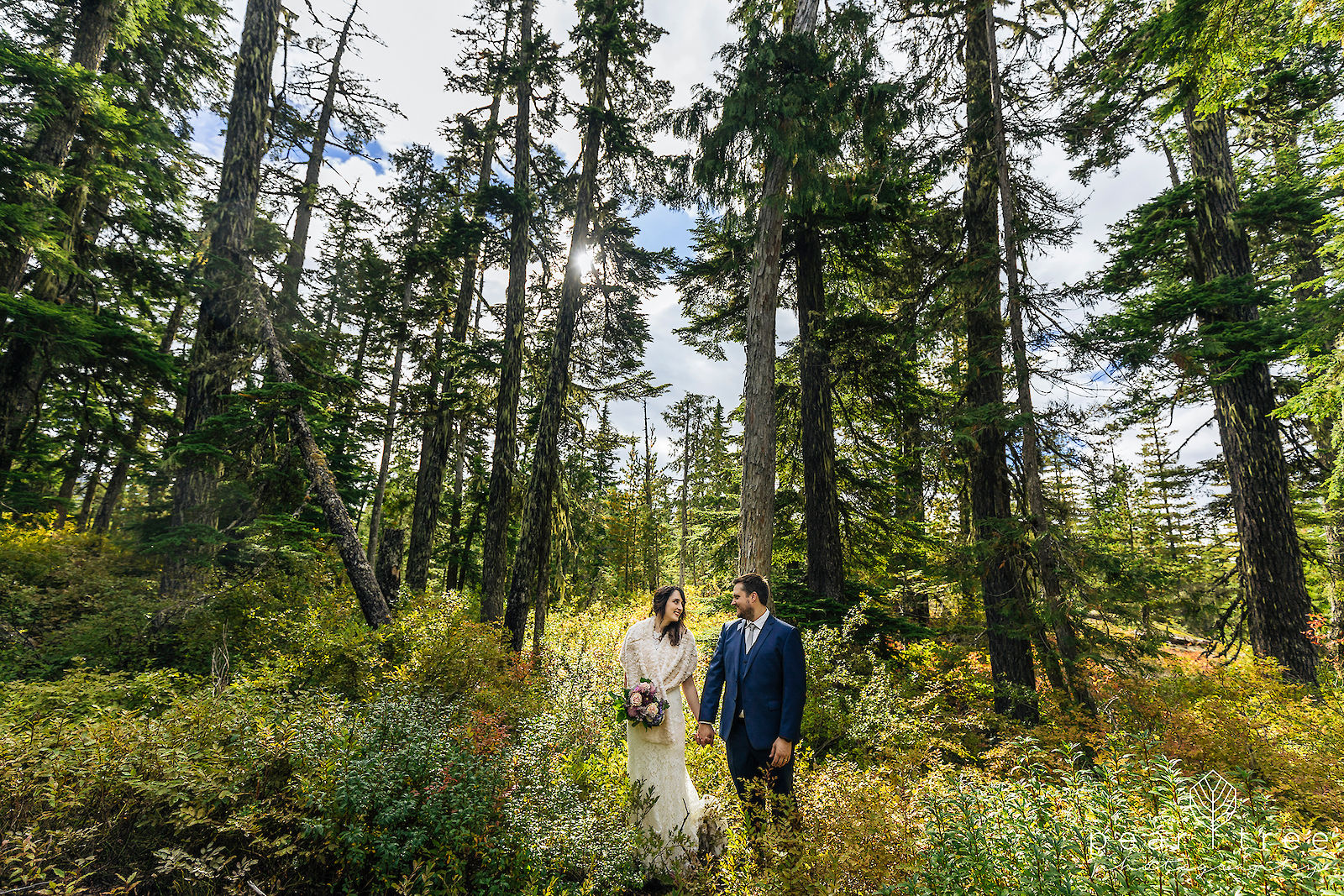 Sea to Sky Gondola Weddings