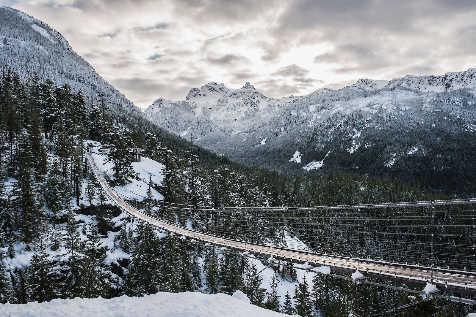 Sea to Sky Gondola Winter Suspension Bridge